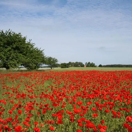 Ferienhaus Romantic Retreat In *
