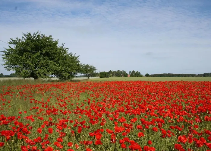 度假居 Romantic Retreat In *