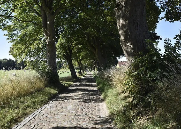 度假居 Romantic Retreat In *