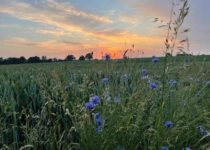 Romantic Retreat In 度假居 *